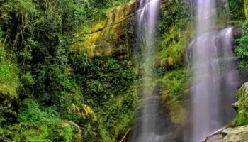 Imagem natureza